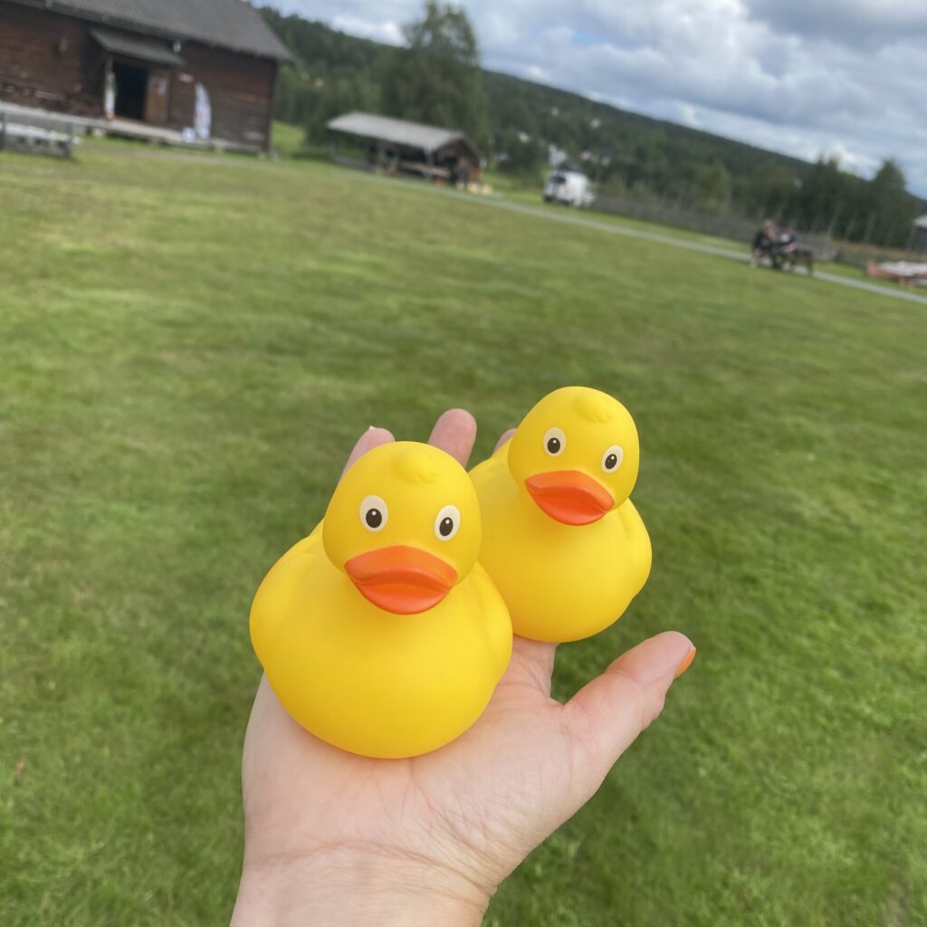 Ankracet 23 juli 2026